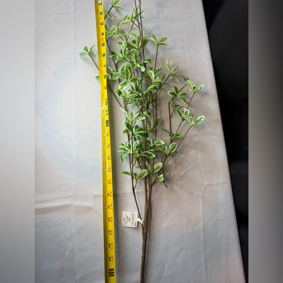 Hearth & Hand W/Magnolia Terminalia Leaf Stem - Qty 2 - NWT - Picture 5 of 7